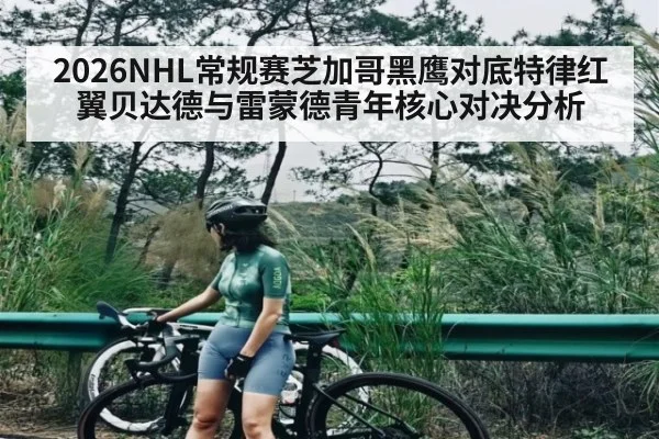 2026NHL常规赛芝加哥黑鹰对底特律红翼贝达德与雷蒙德青年核心对决分析